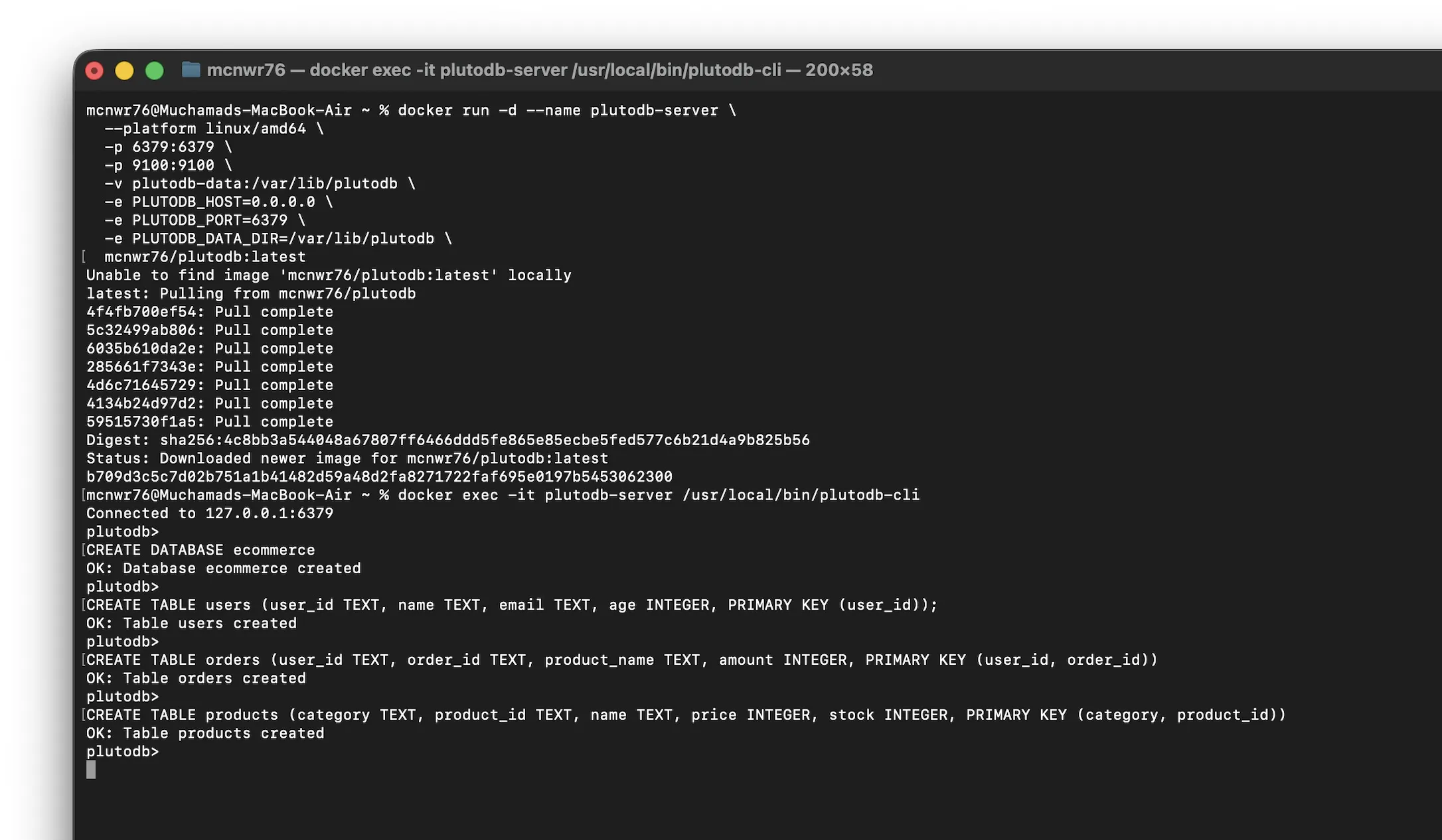 PlutoDB screenshot 1