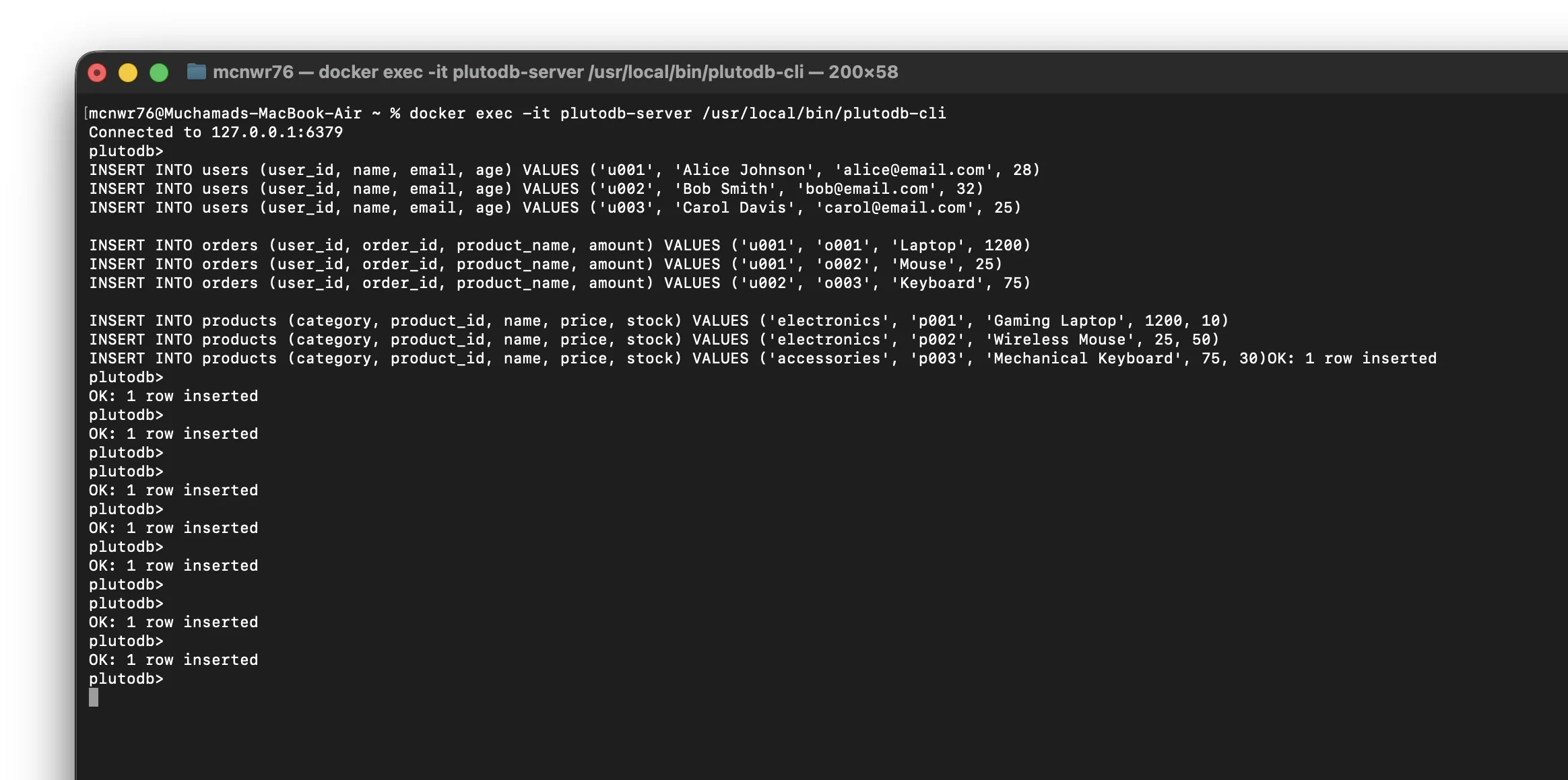 PlutoDB screenshot 2